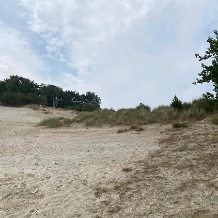 8 Person In Borkop-by Traum 別荘