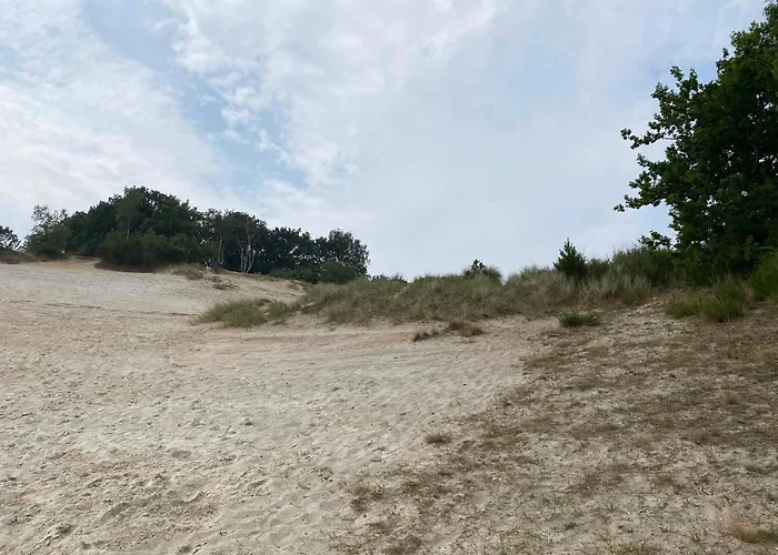 8 Person In Borkop-by Traum 度假居